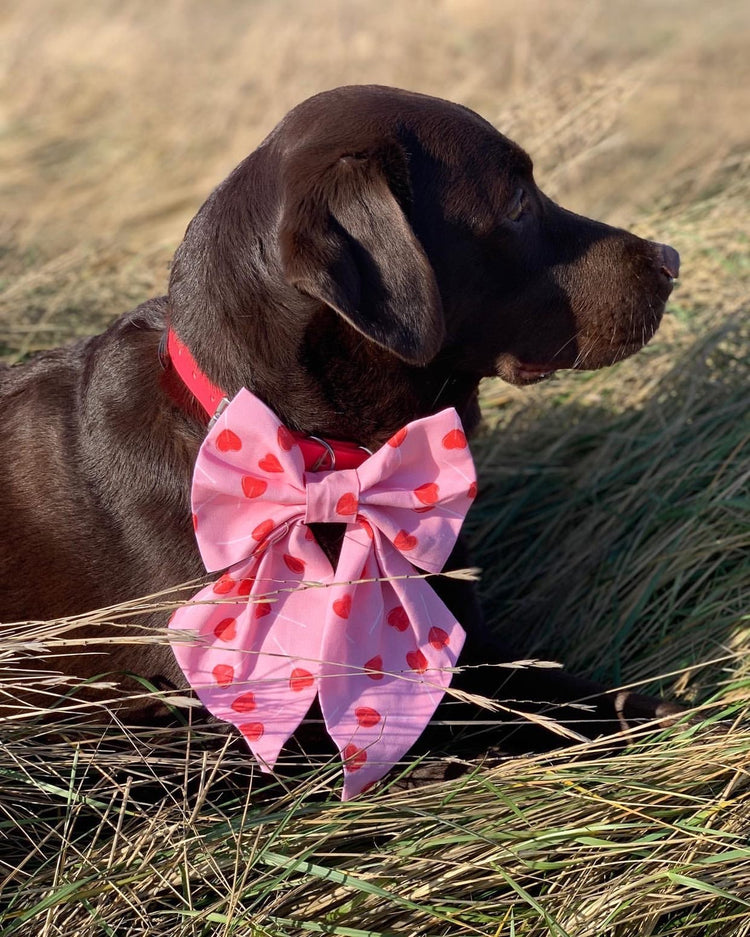 Bow-Ties