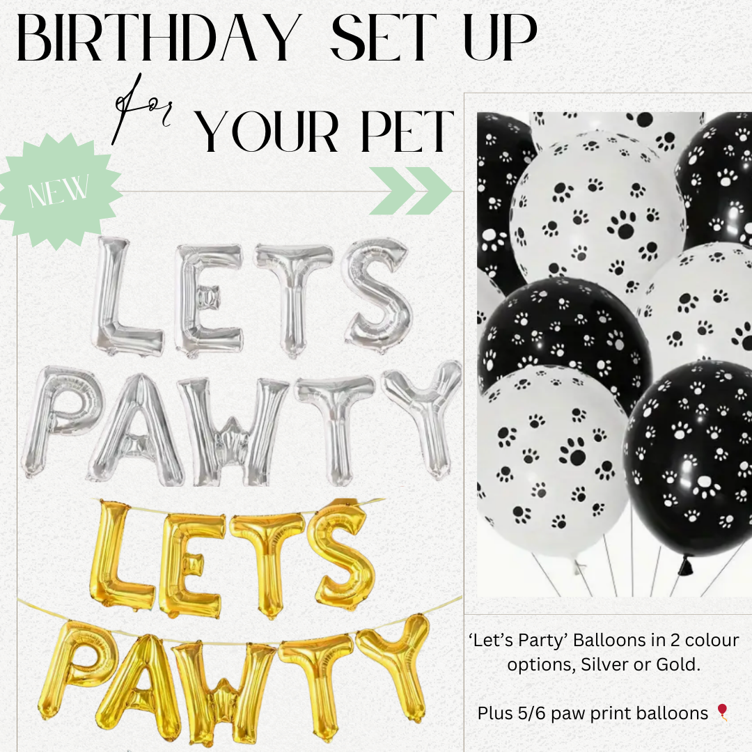 Dog Birthday Box