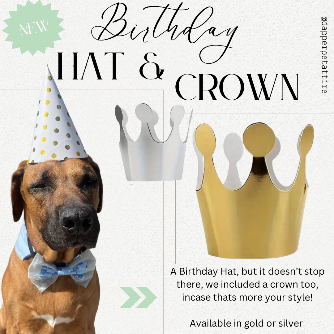 Dog Birthday Box