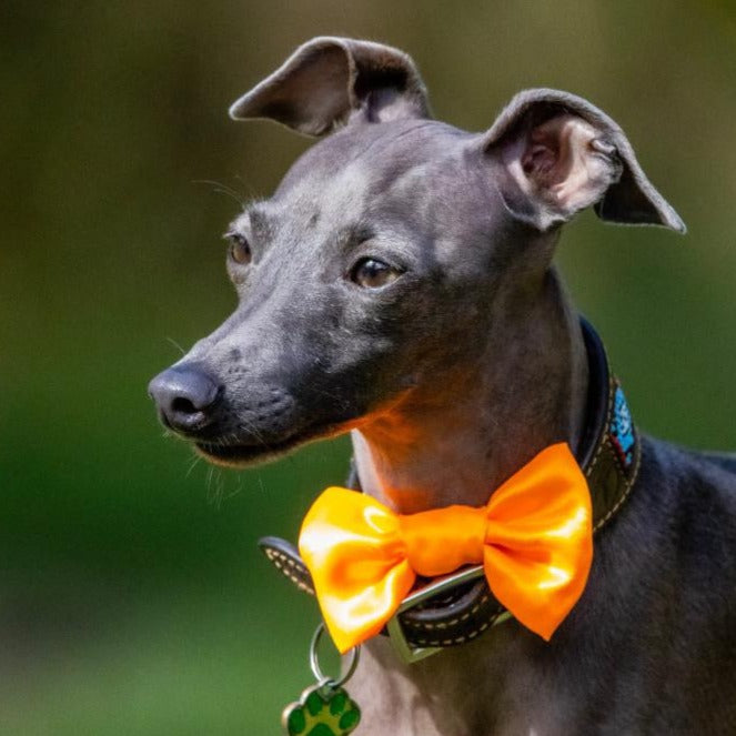 SALE Bright Orange SATIN Bow-Tie
