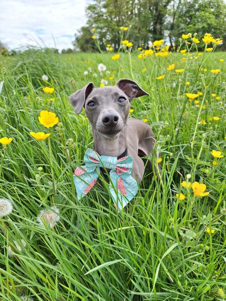 Hello Summer Bow-Tie