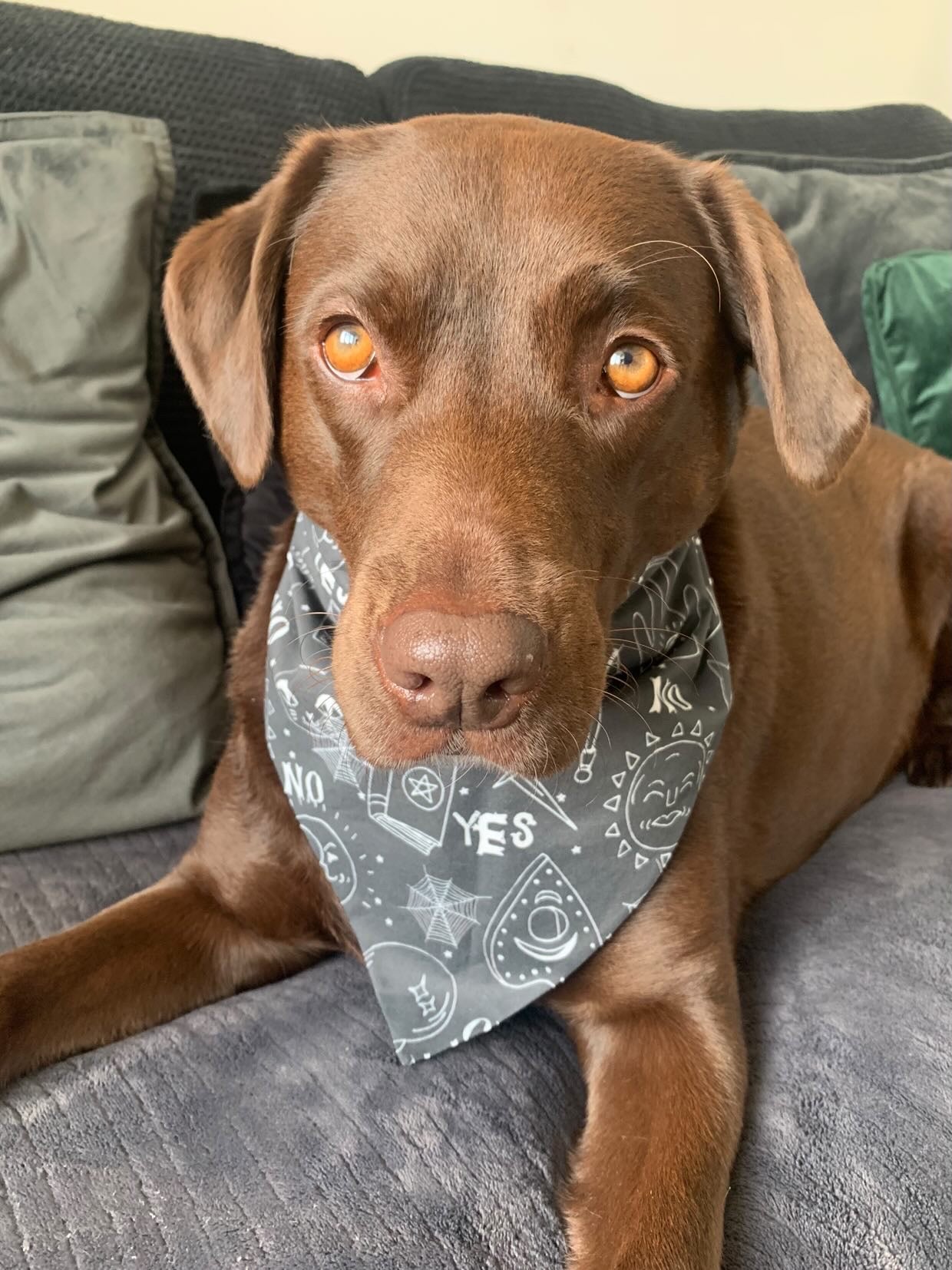 Ouija Bandana