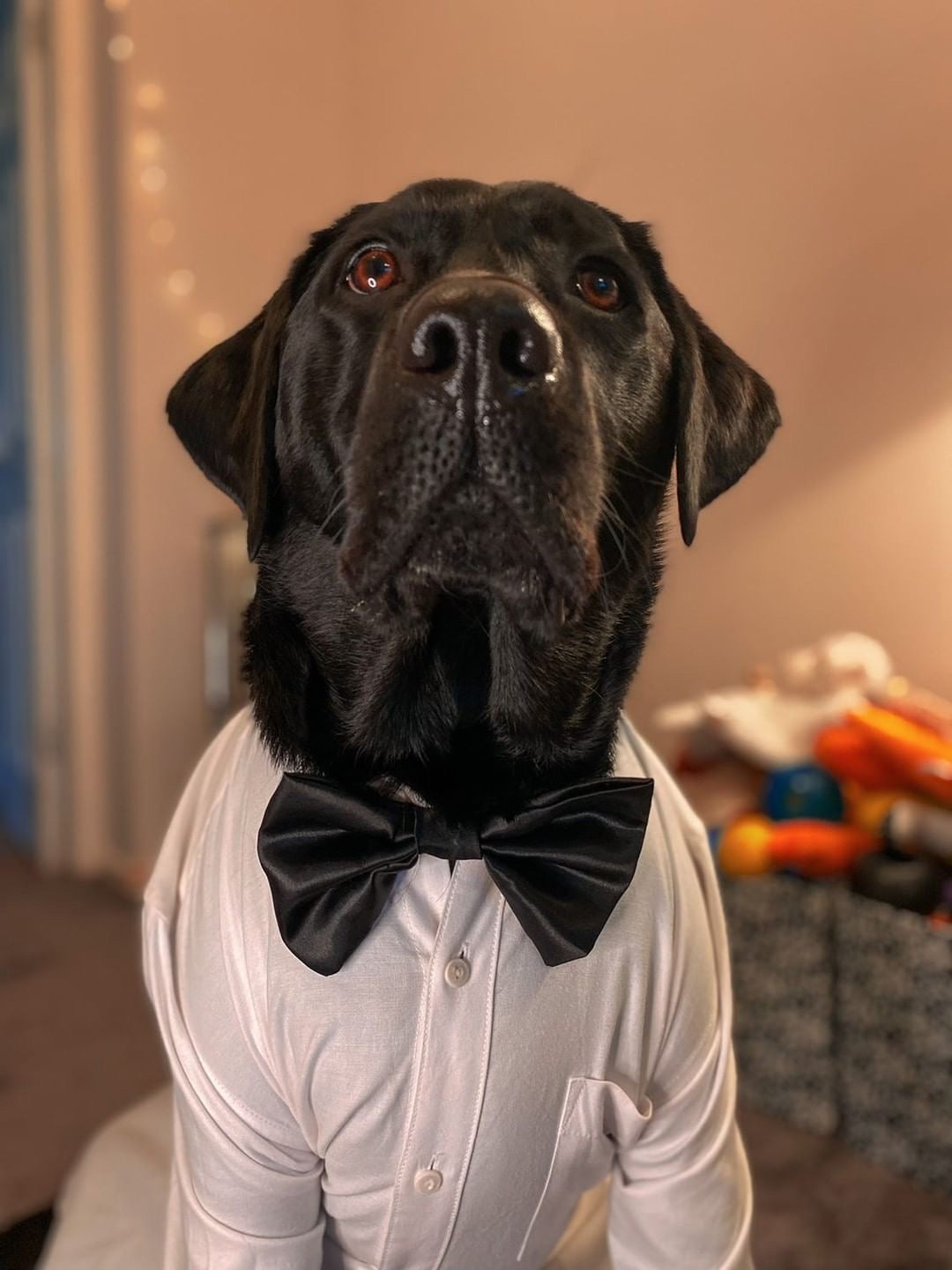 Black SATIN Bow-Tie