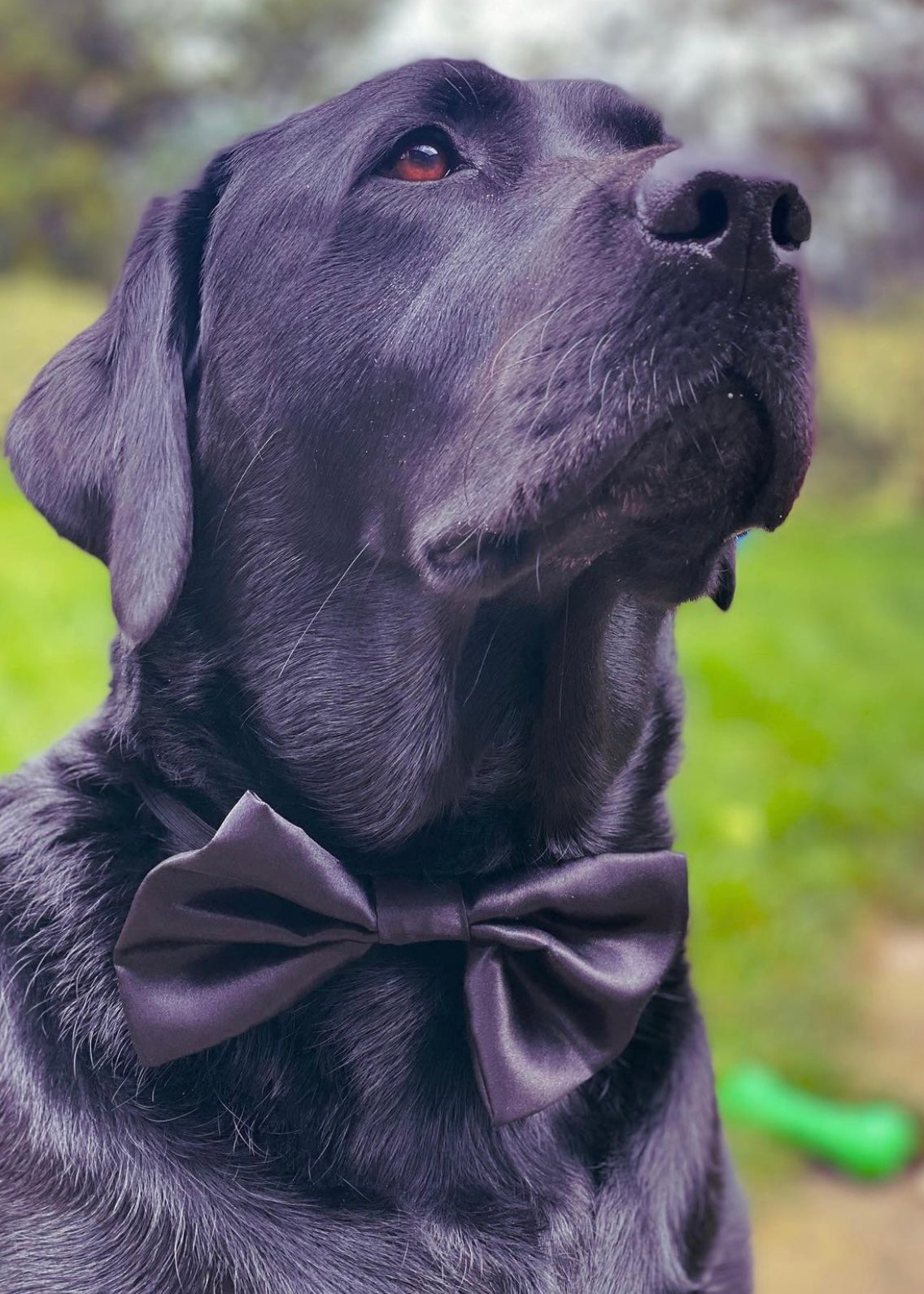Black SATIN Bow-Tie