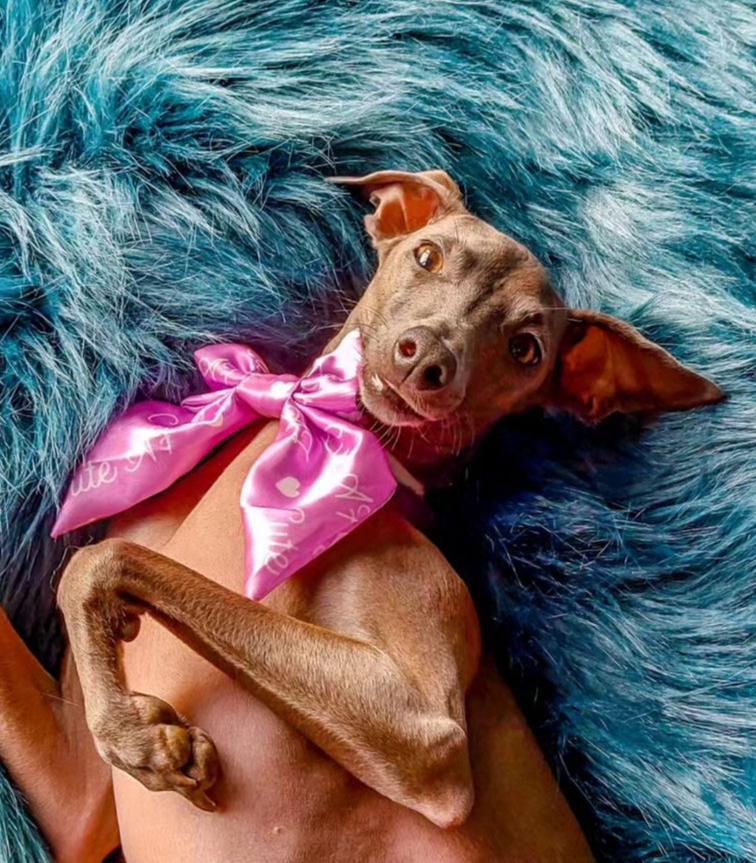 Cute AF SATIN Bow-Tie