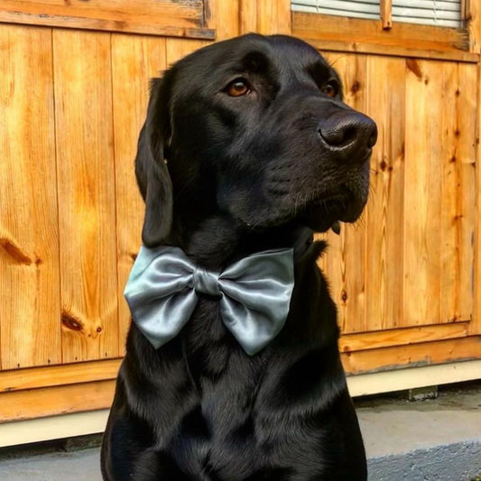 Charcoal SATIN Bow-Tie