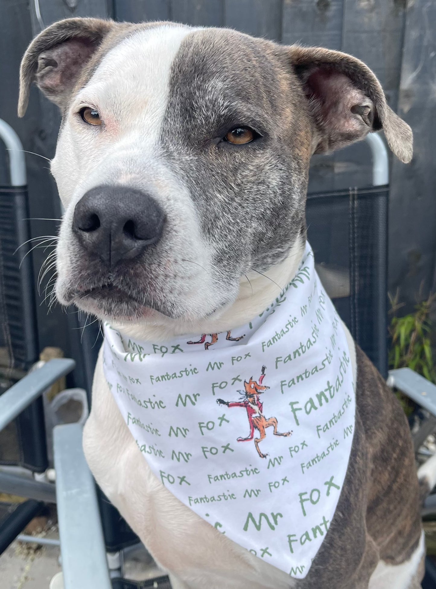 Fantastic Mr Fox Bandana