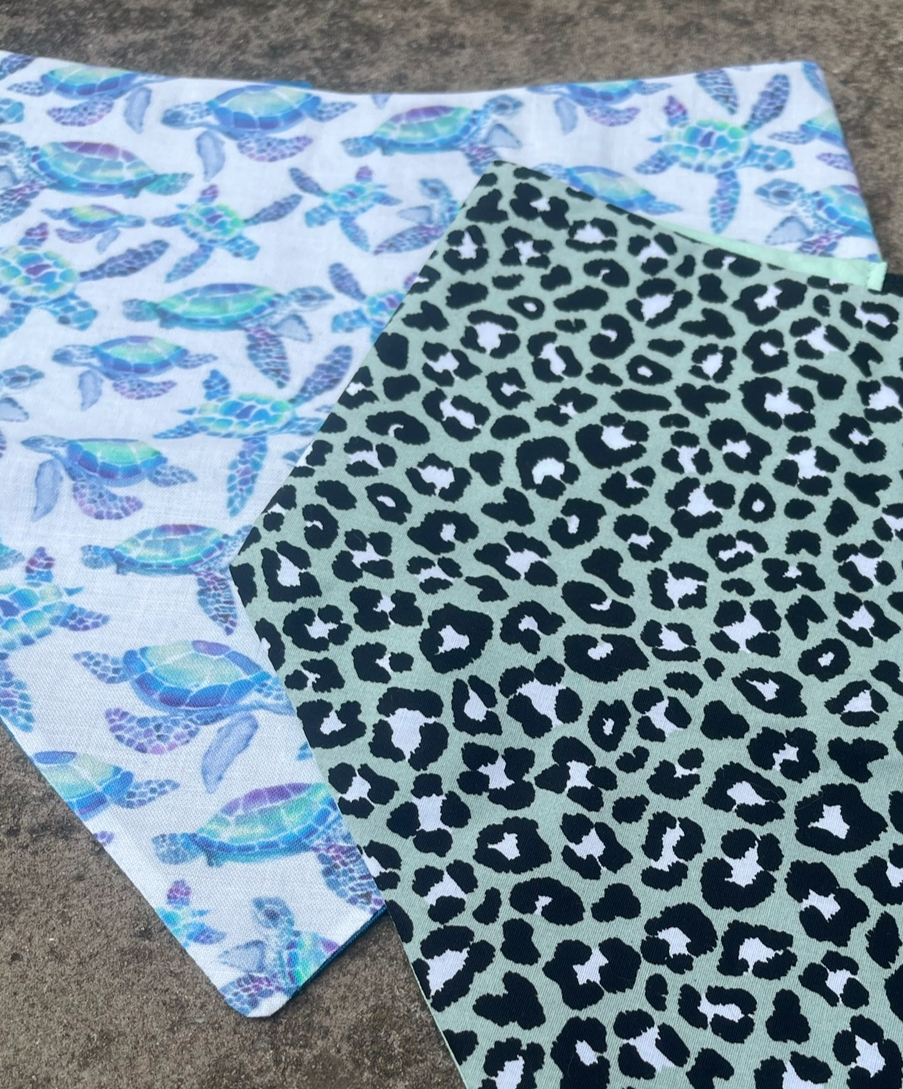 Turtle Bandana