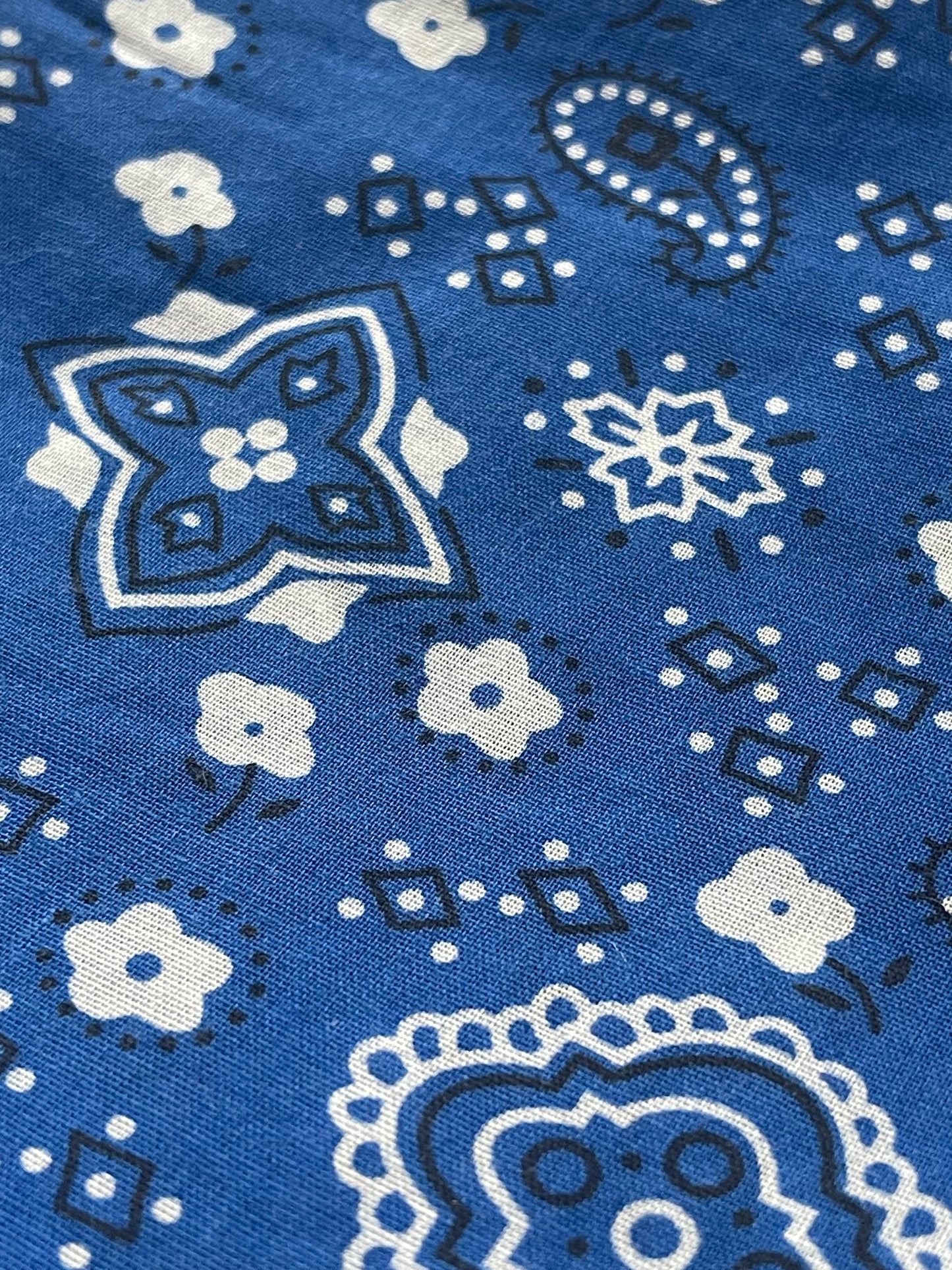 Blue paisley Bandana