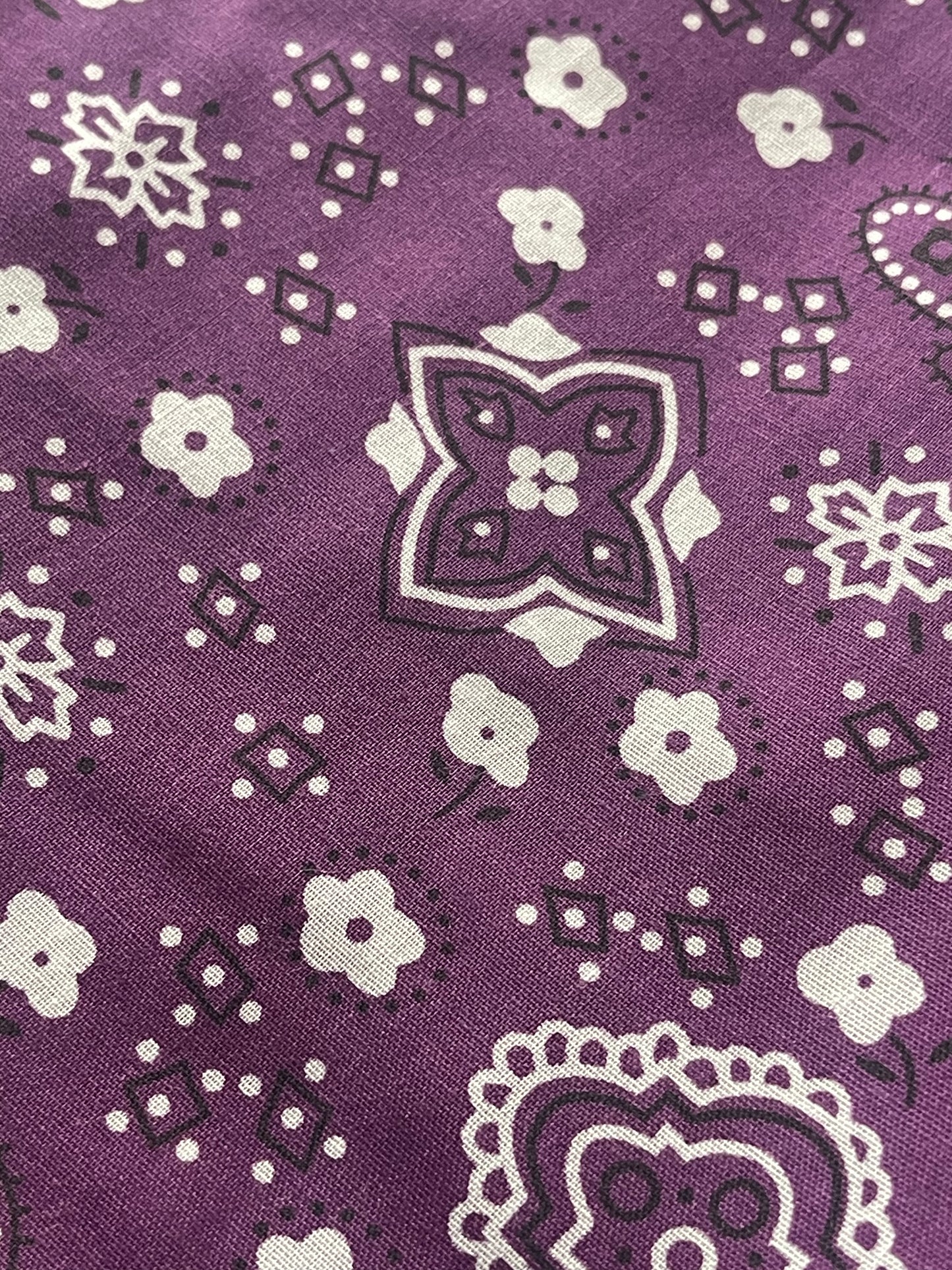 Purple paisley Bandana