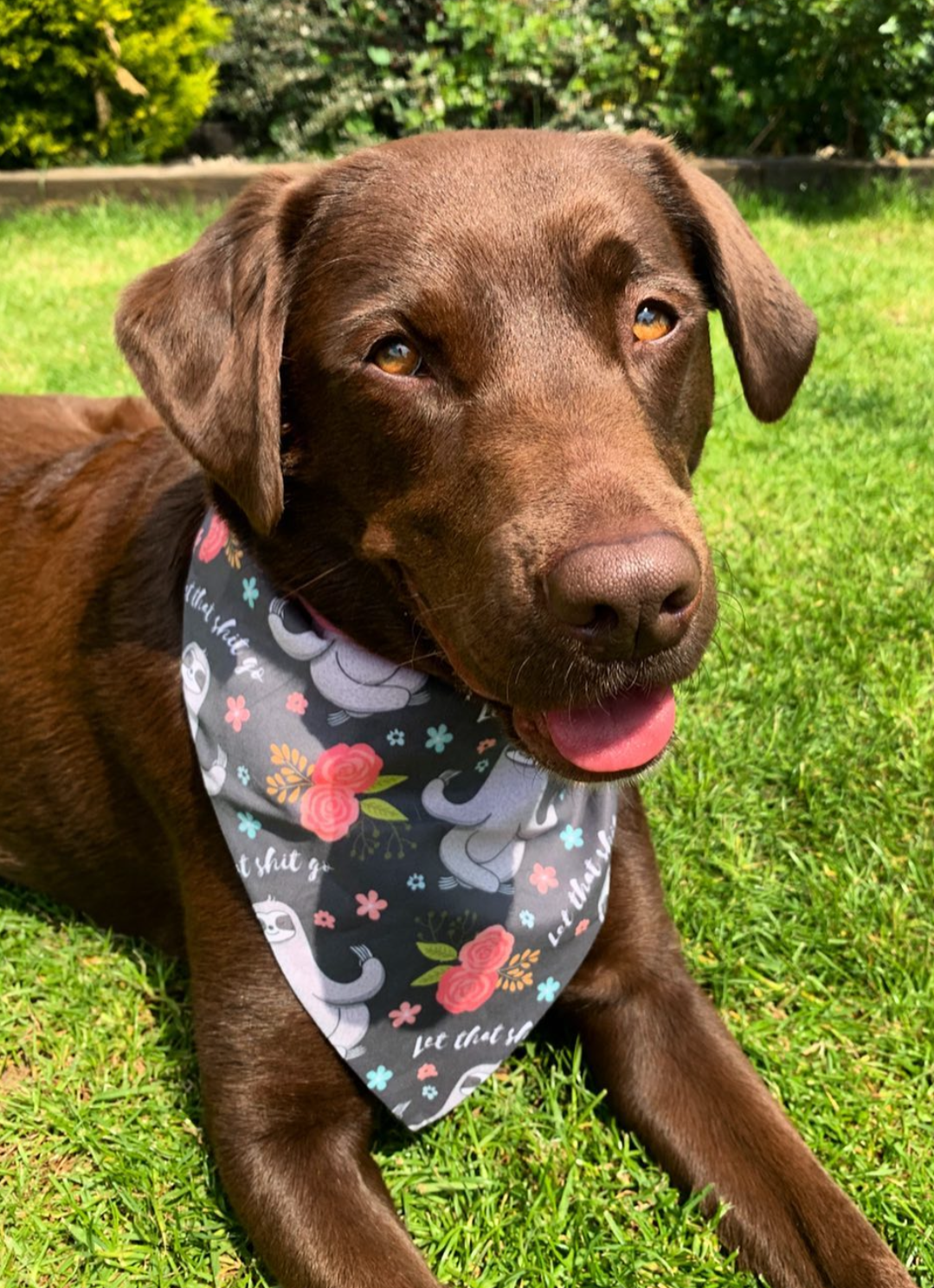 Sloth 'let that go' Bandana