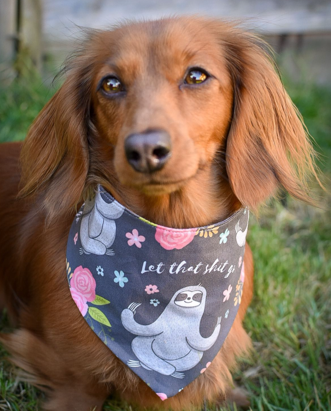 Sloth 'let that go' Bandana