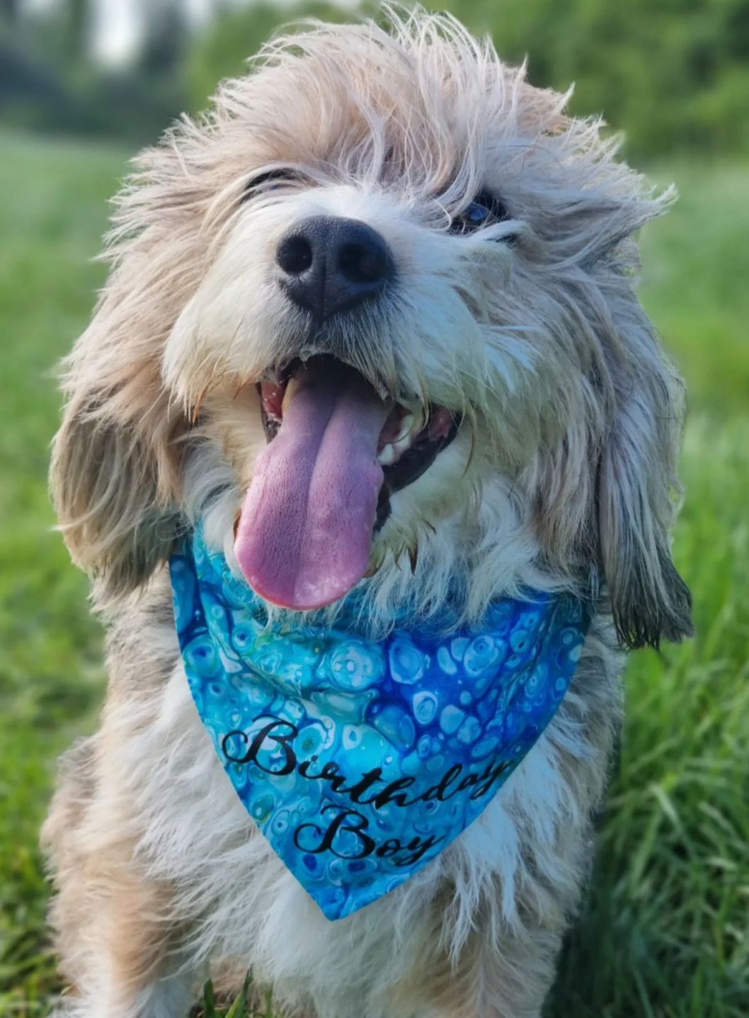 Blue Bubble Bandana *Vinyl not included*