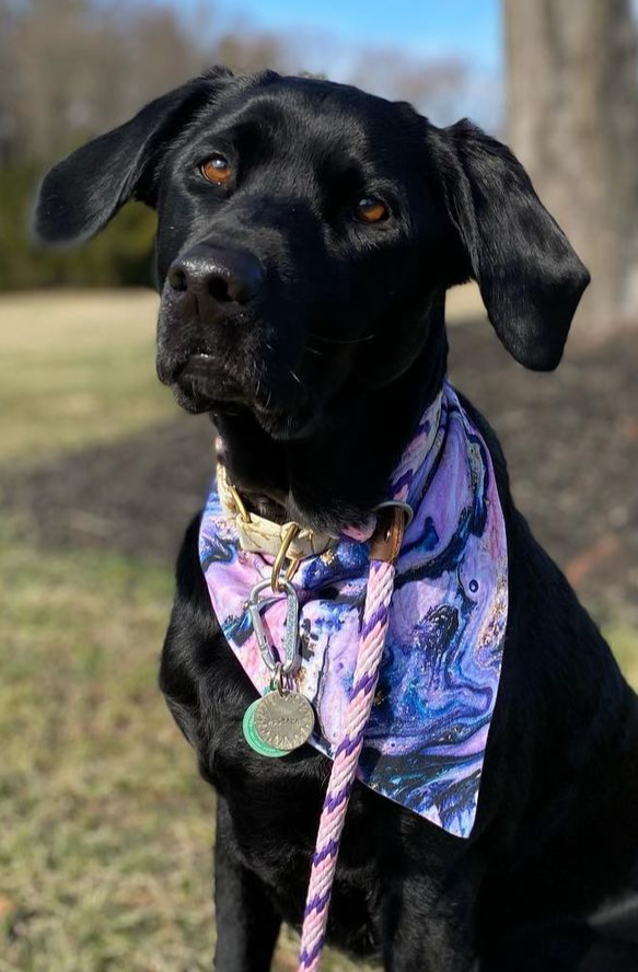 Purple Marble Bandana