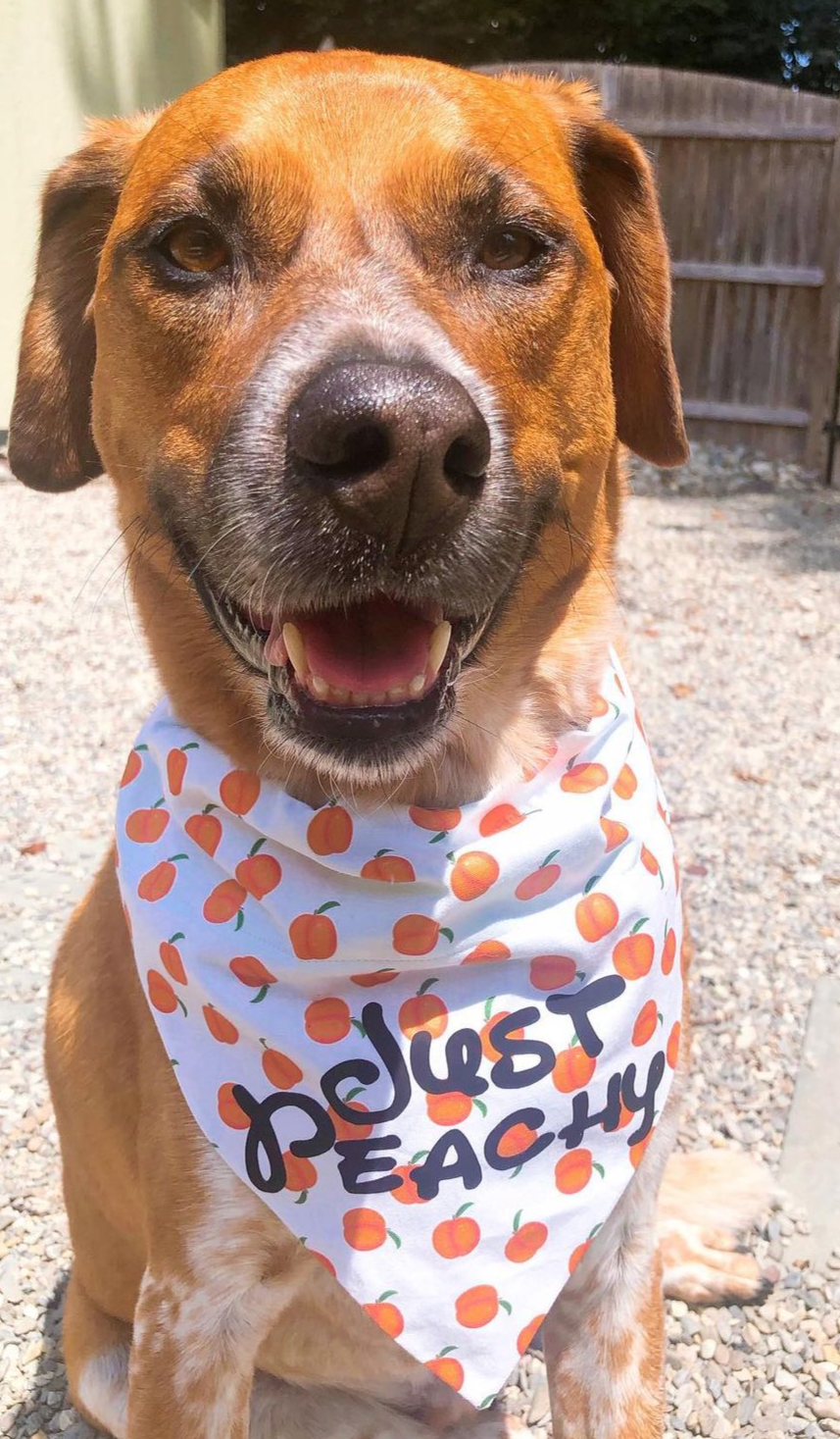 Peachy Bandana *Vinyl not included*