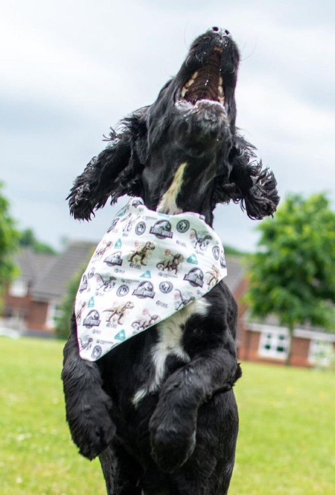 Jurassic Bandana