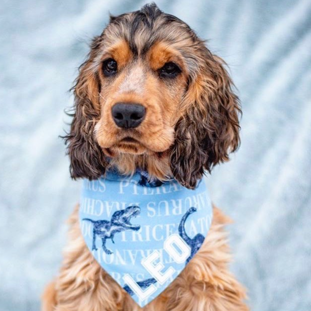 Blue Dinosaur Bandana