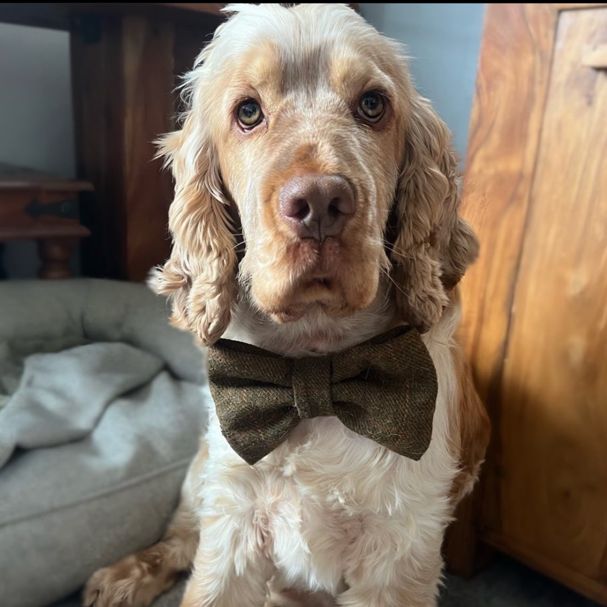 Tweed Bow-Tie