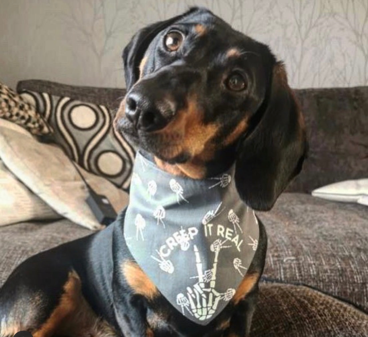 Skeleton peace Bandana