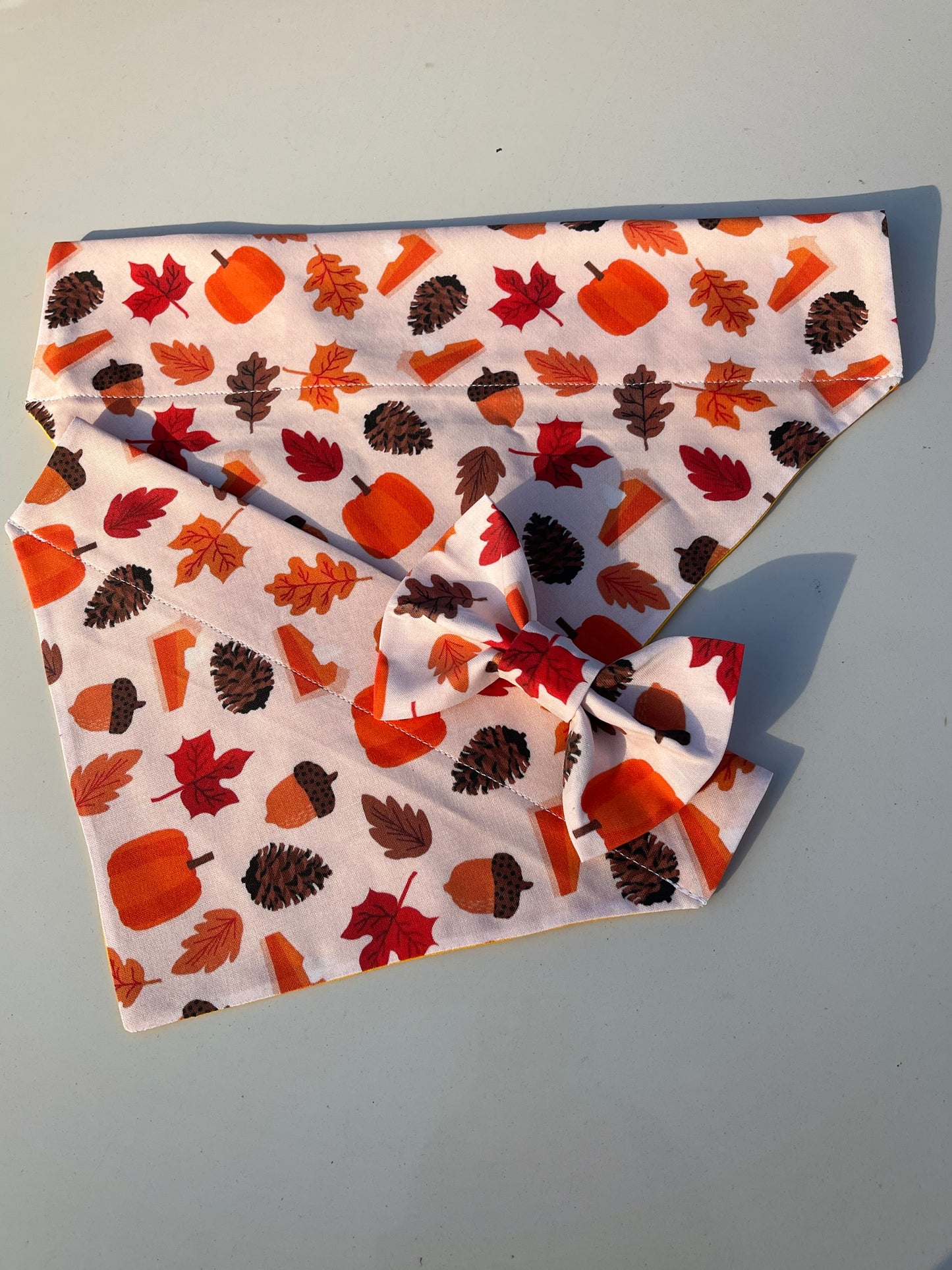 Fall Bandana