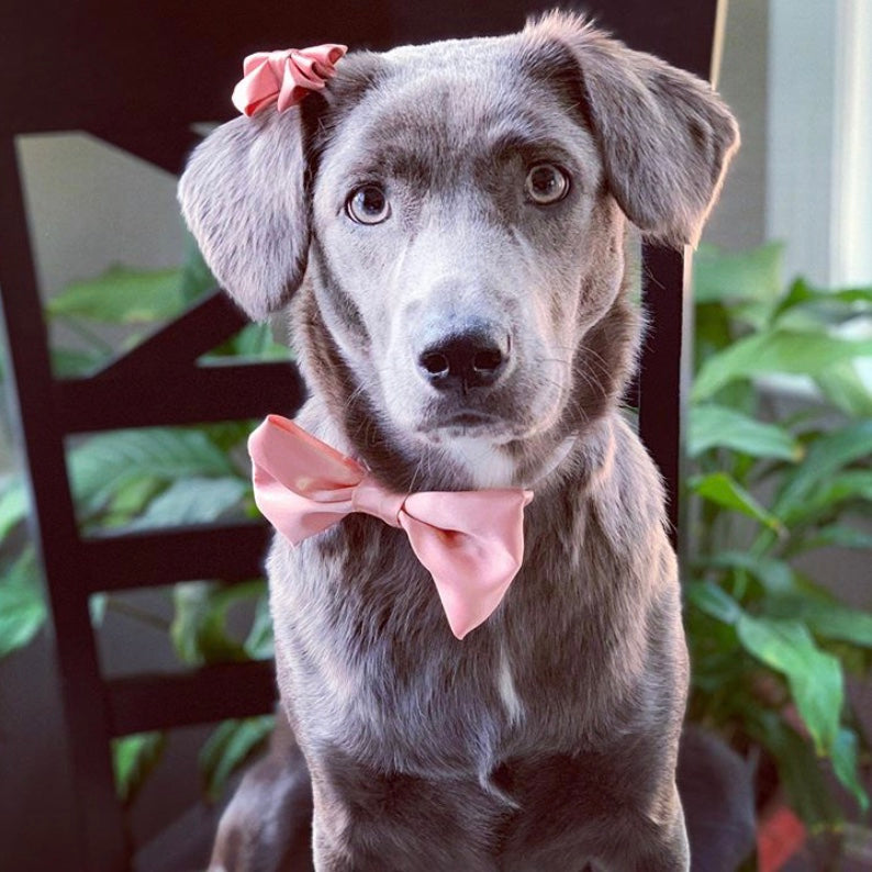 Dusty Pink SATIN Bow-Tie