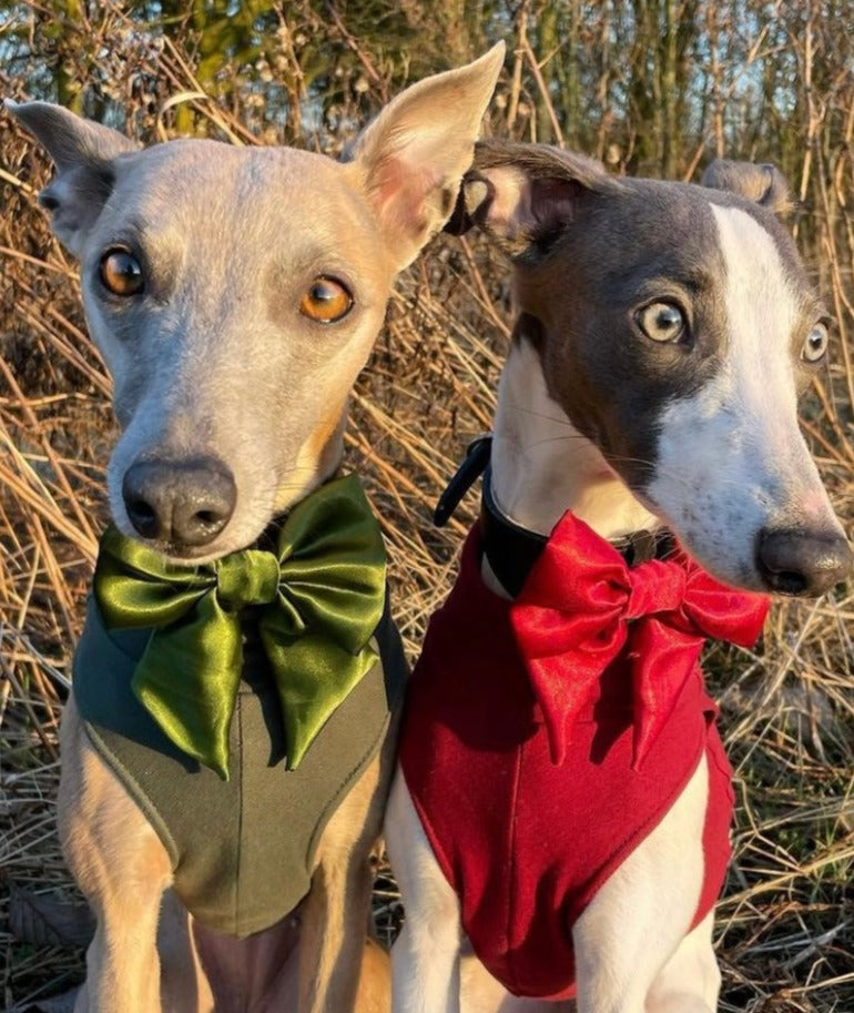 Olive SATIN Bow-Tie