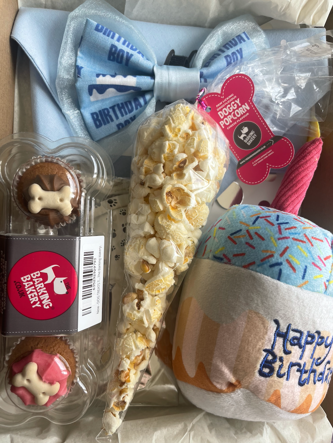 Dog Birthday Box