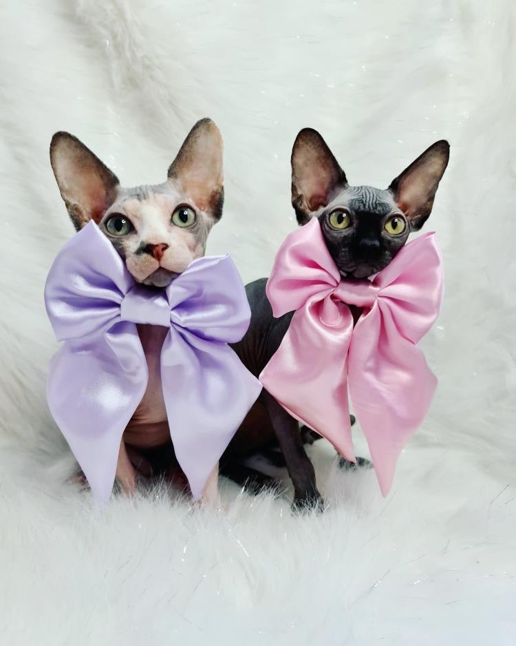 Baby Pink SATIN Bow-Tie