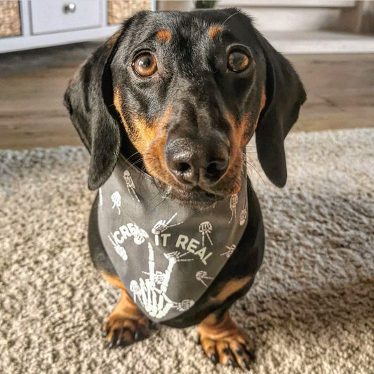 Skeleton peace Bandana