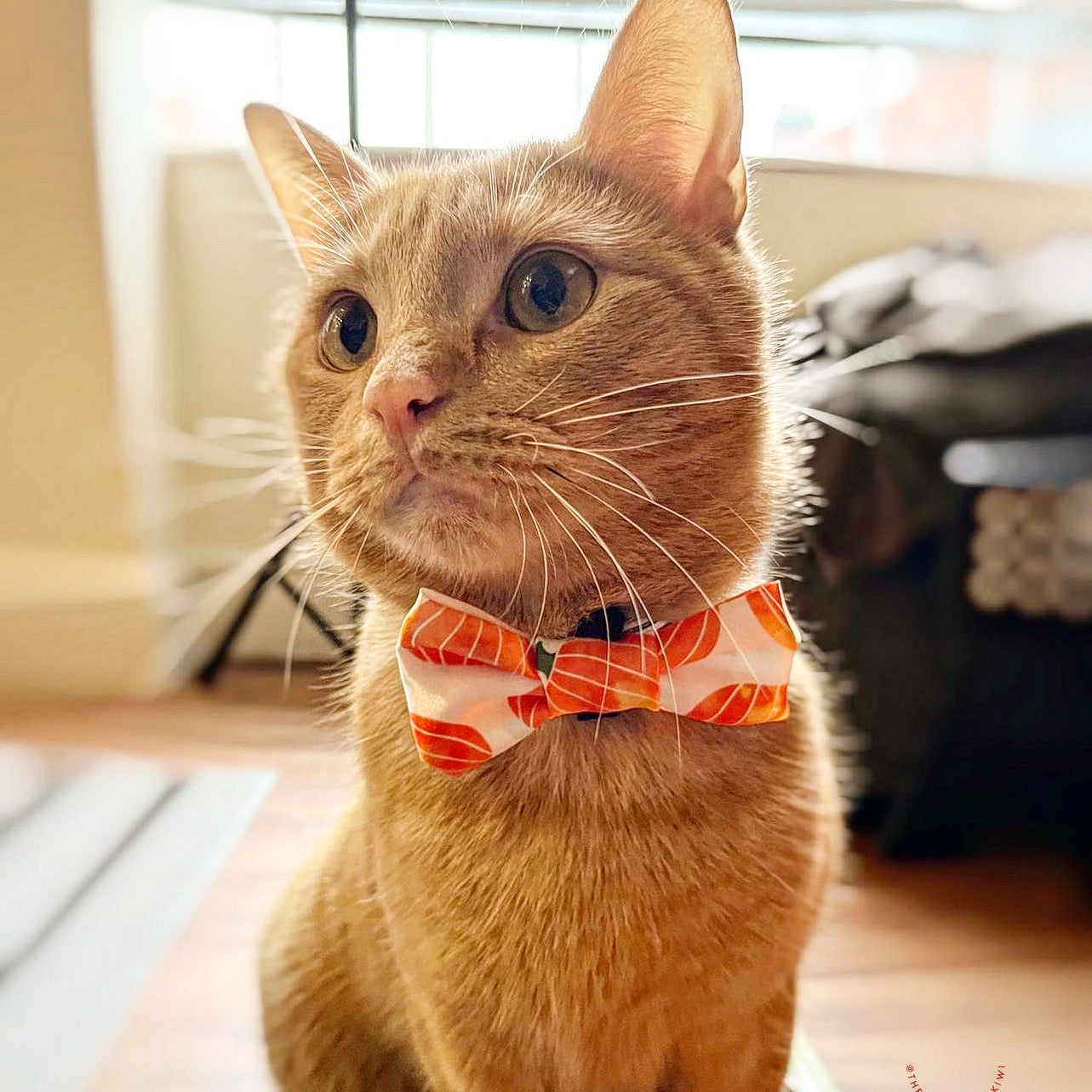 SATIN pumpkin Bow-Tie