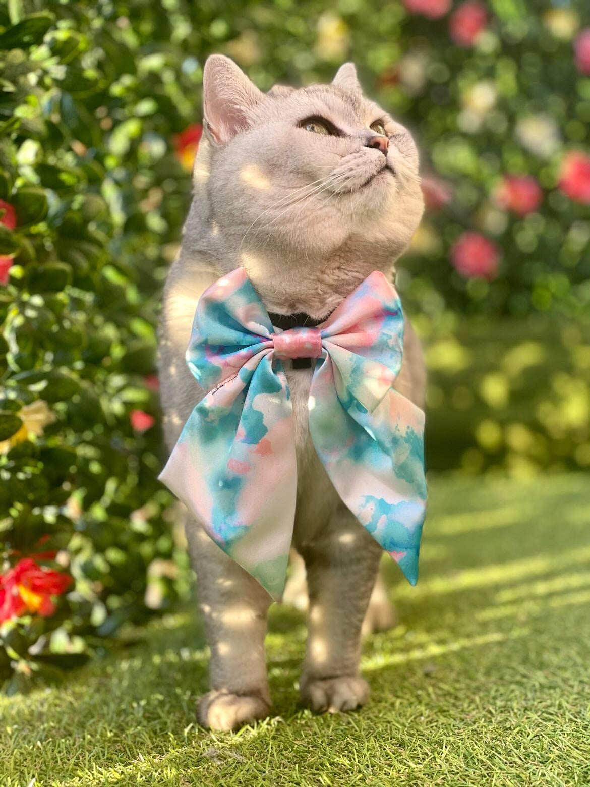 Daydream SATIN Bow-Tie