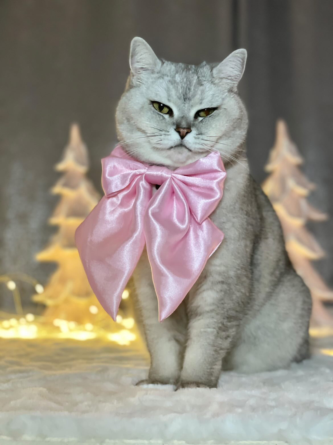 Baby Pink SATIN Bow-Tie