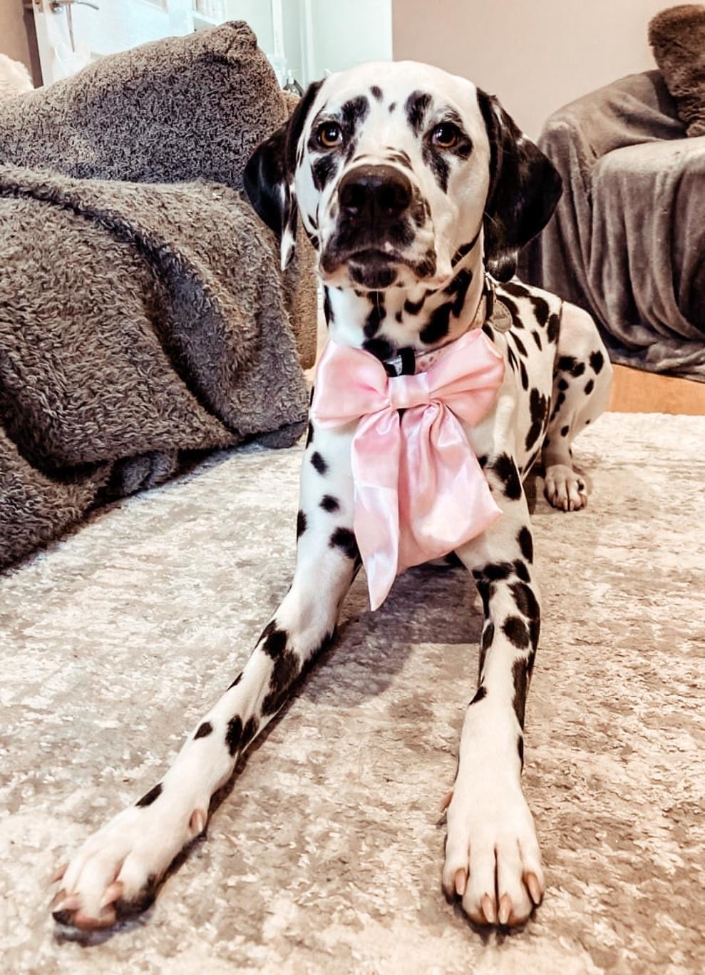 Baby Pink SATIN Bow-Tie