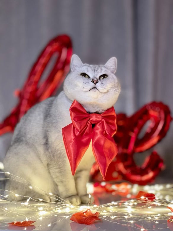 Crimson SATIN Bow-Tie