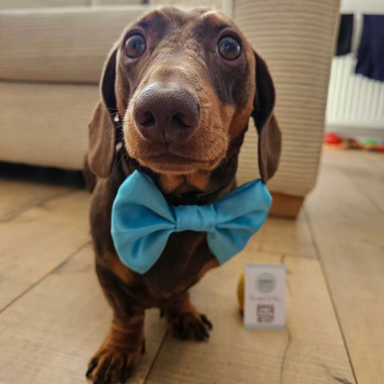 Turquoise SATIN Bow-Tie