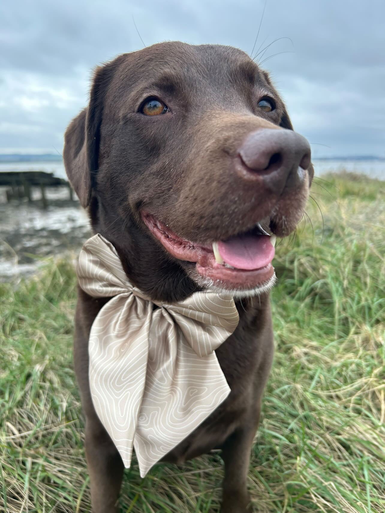 Nude SATIN Bow-Tie