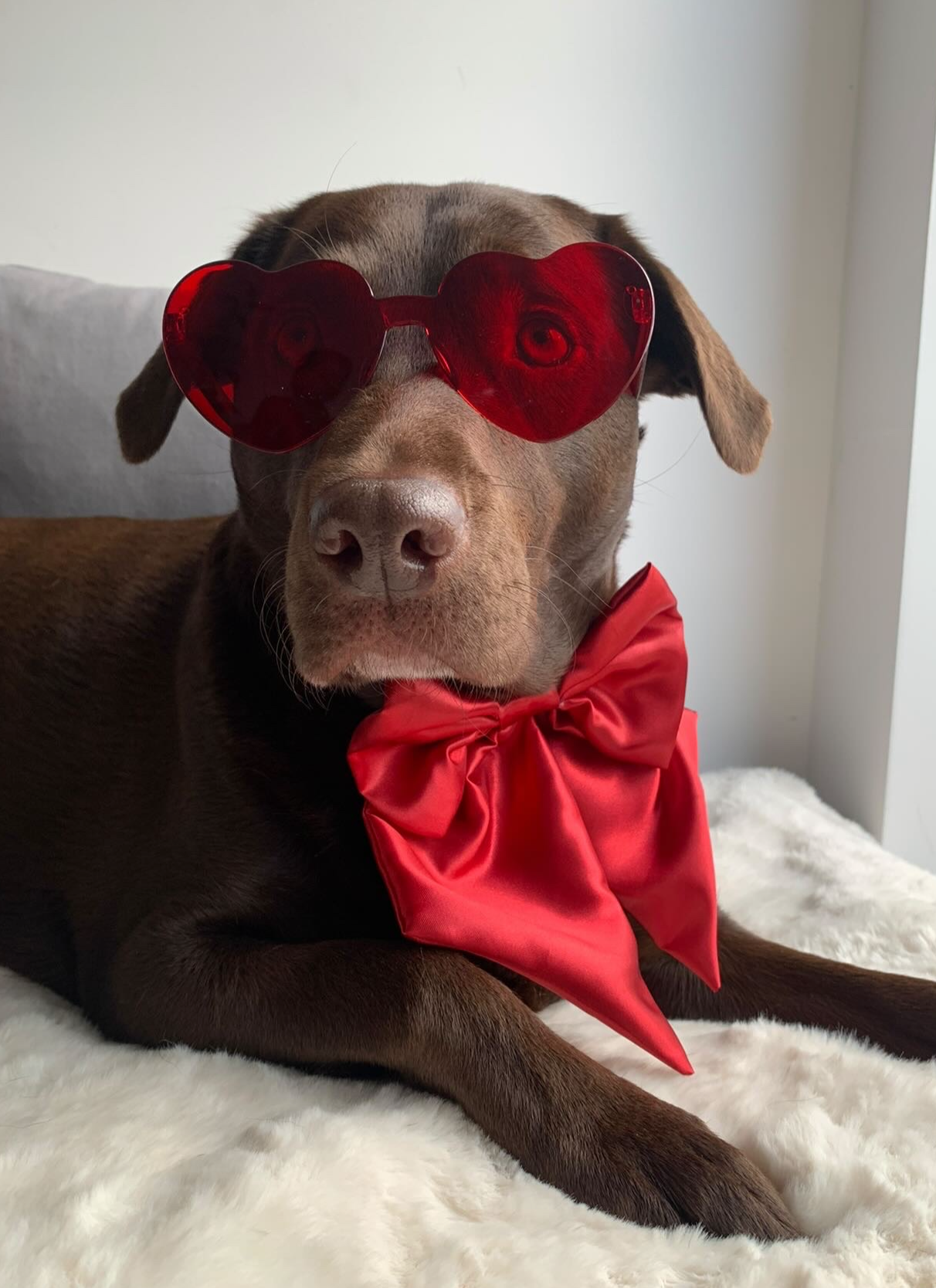 Crimson SATIN Bow-Tie