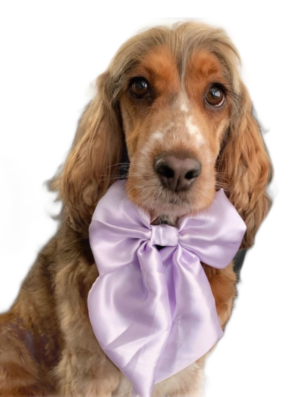 Lilac SATIN Bow-Tie