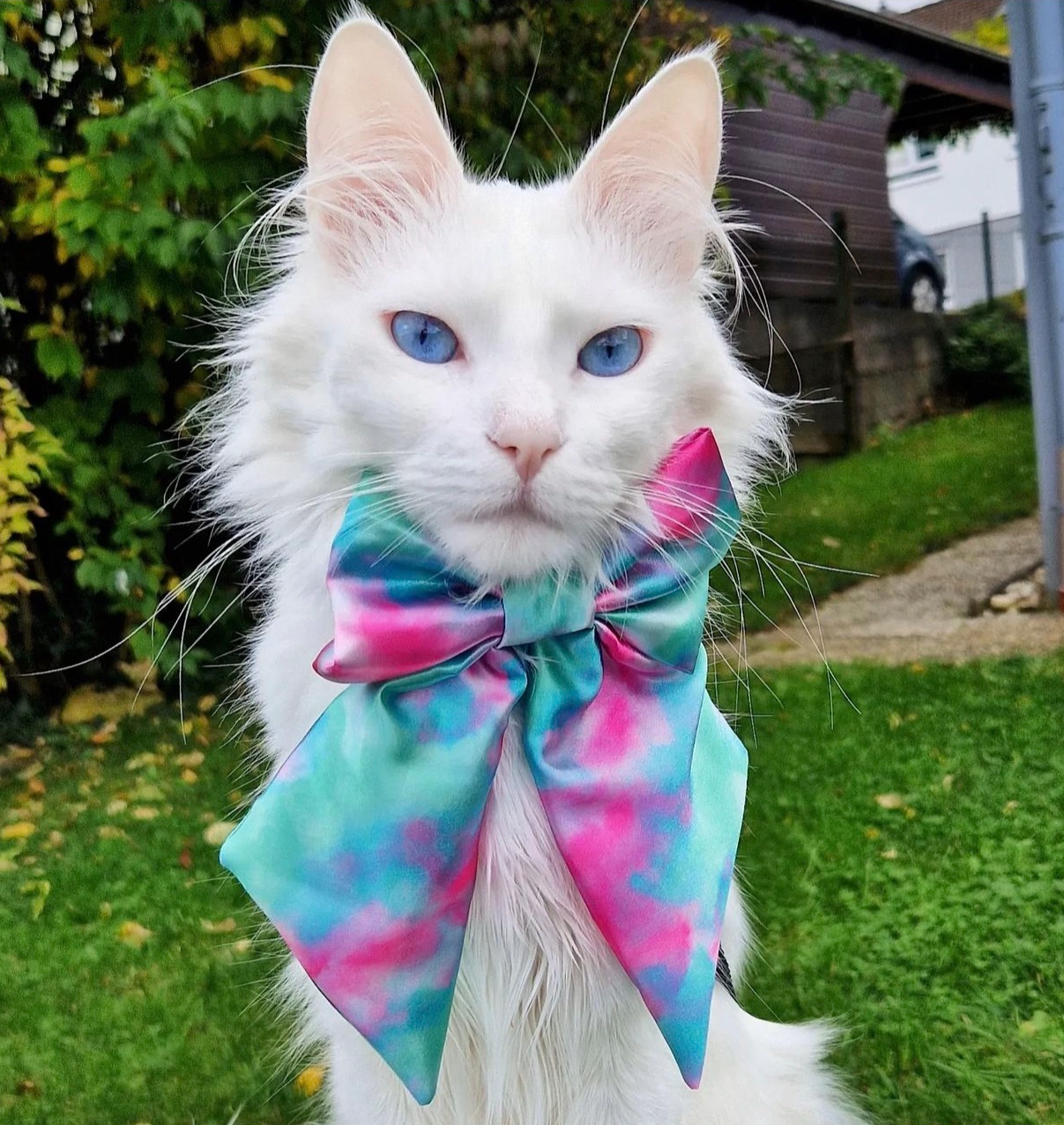 Pink/Blue Ink SATIN Bow-Tie