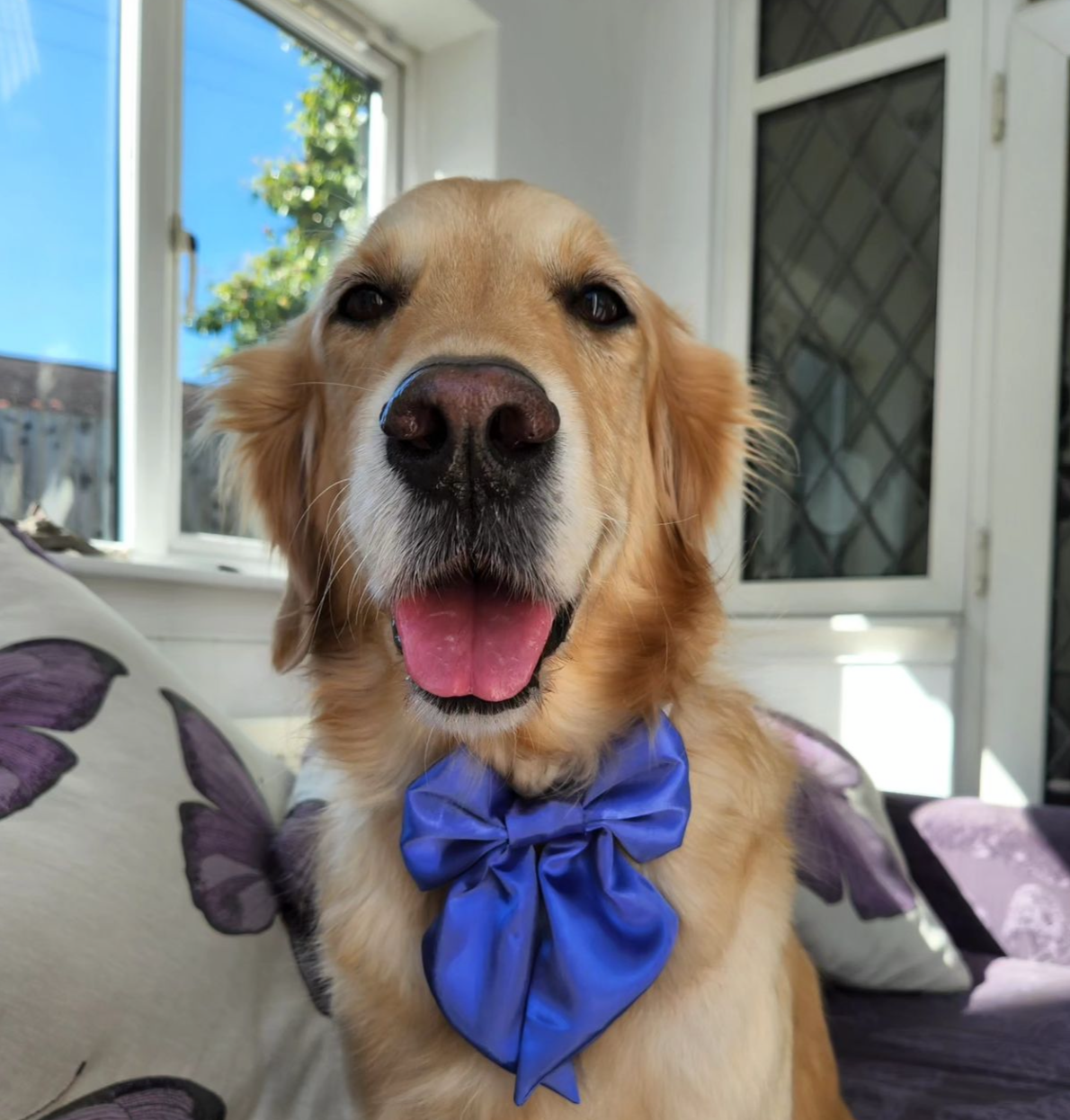 Bluebell SATIN Bow-Tie