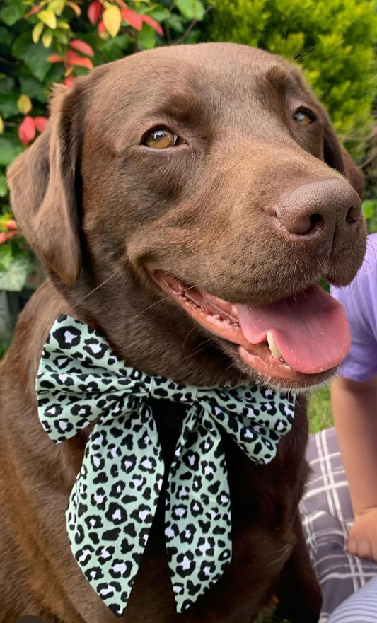 Green leopard Bow-Tie