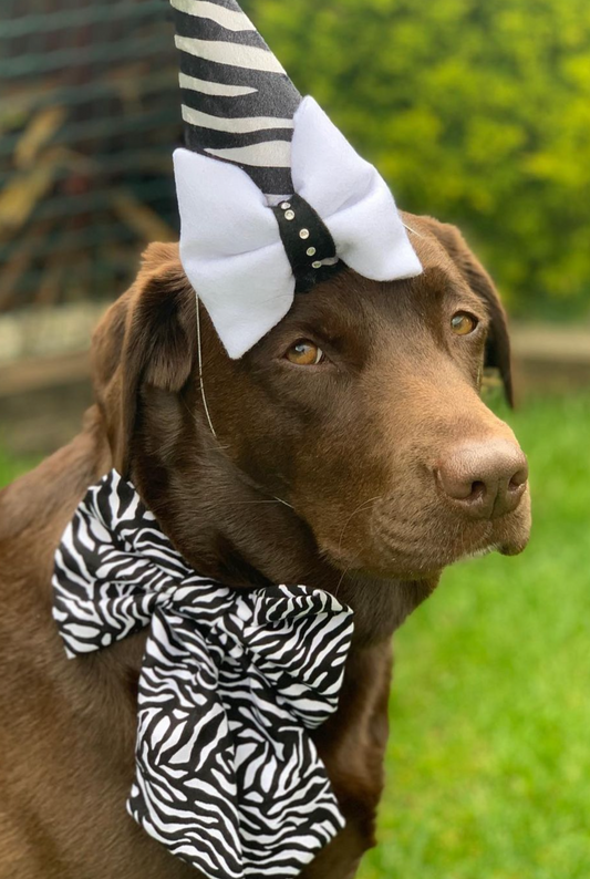 Zebra Bow-Tie