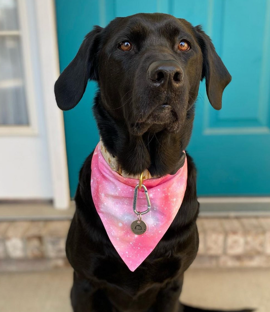 Pink sky at night Bandana