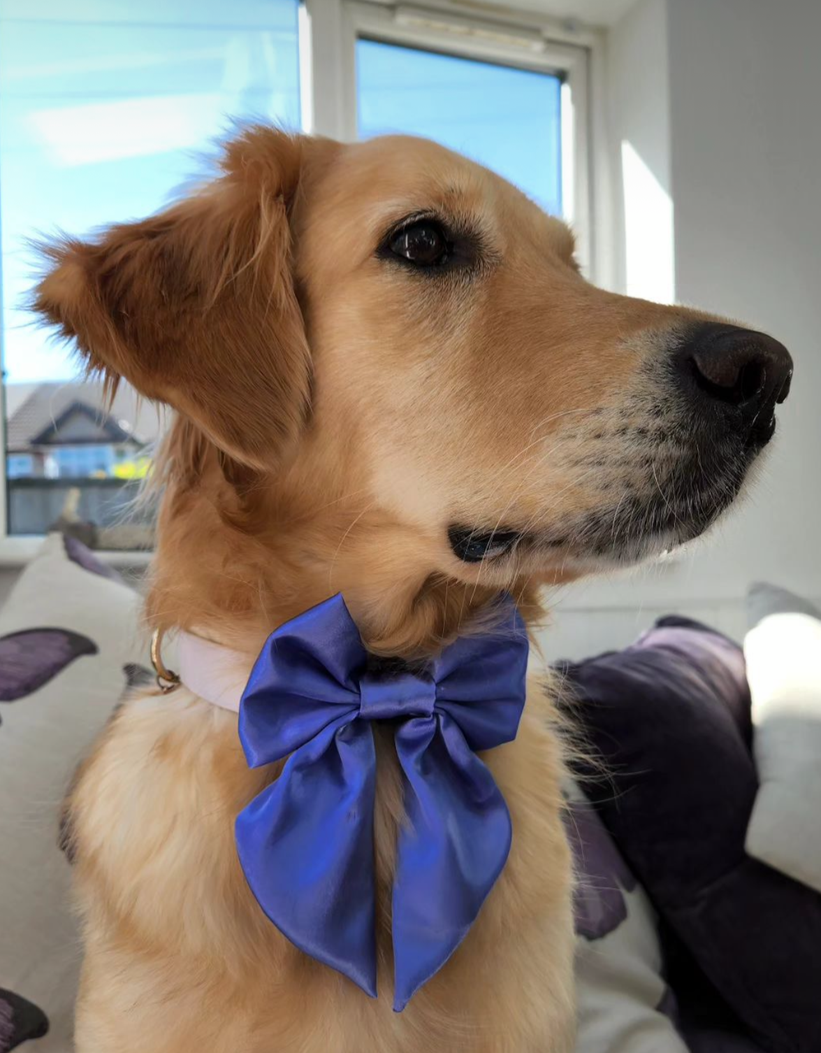 Bluebell SATIN Bow-Tie