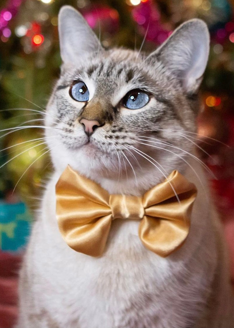 Gold SATIN Bow-Tie