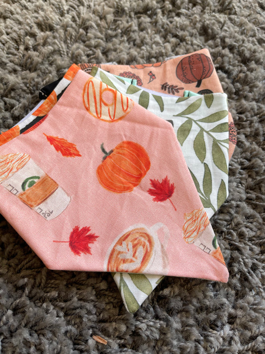 Pumpkin Spice Bandana