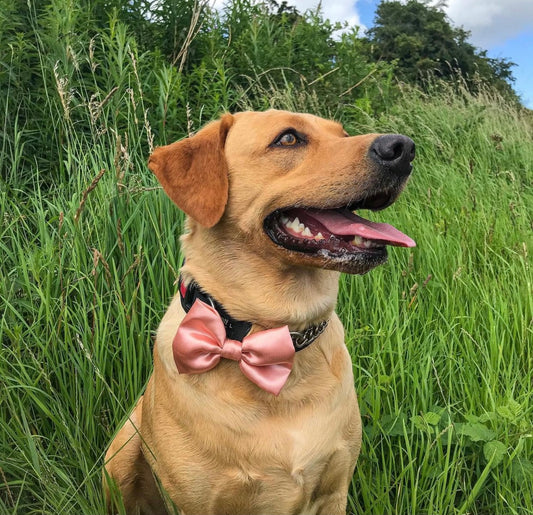 Dusty Pink SATIN Bow-Tie