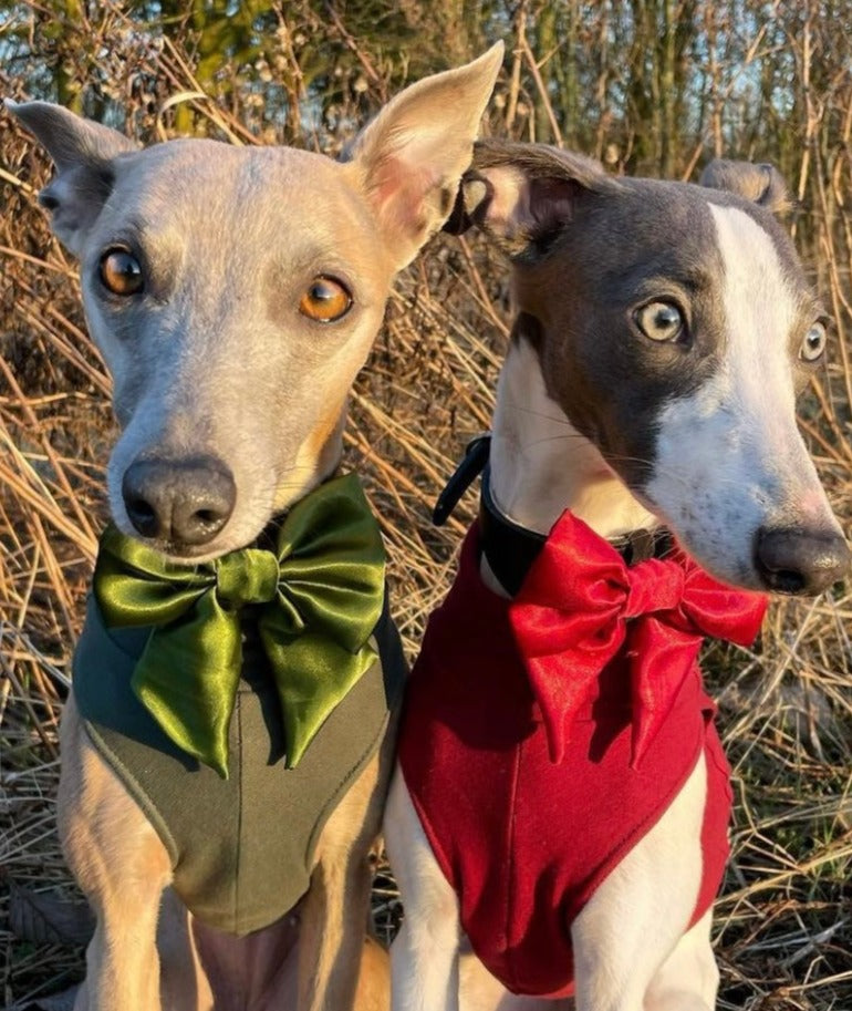 Olive SATIN Bow-Tie