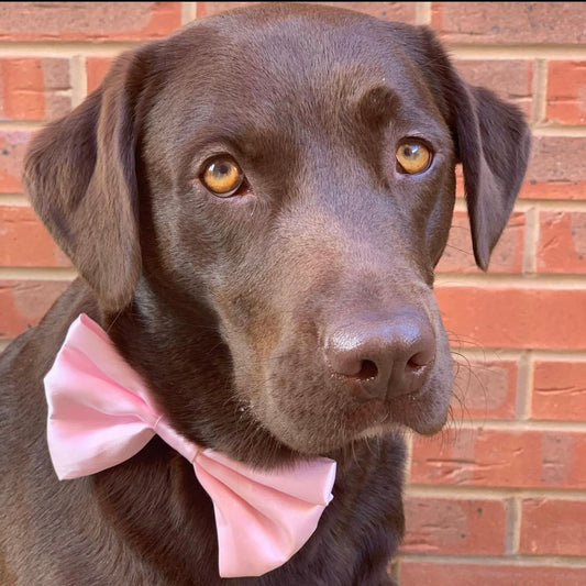 Baby Pink SATIN Bow-Tie