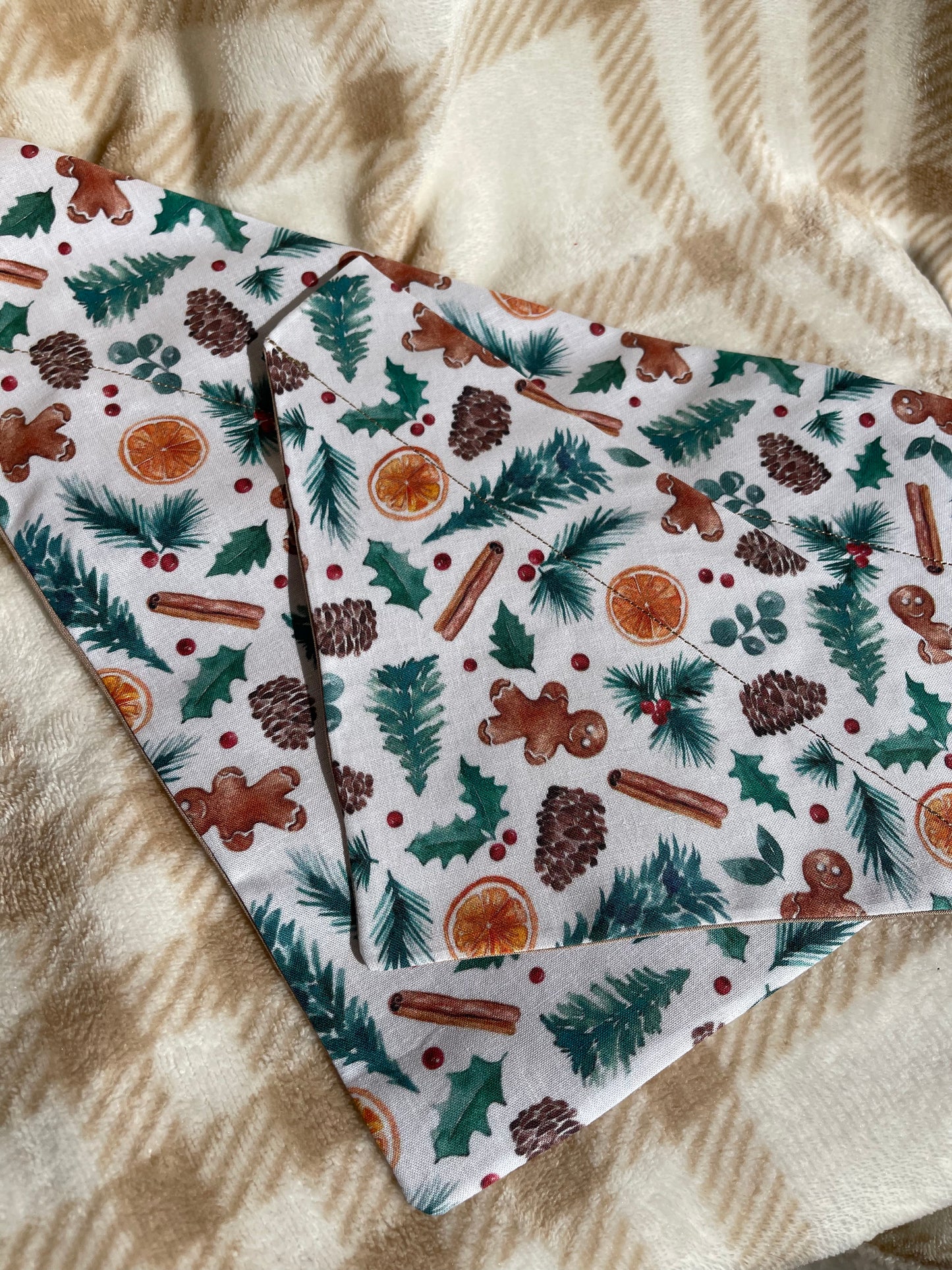 Winter recipe Bandana